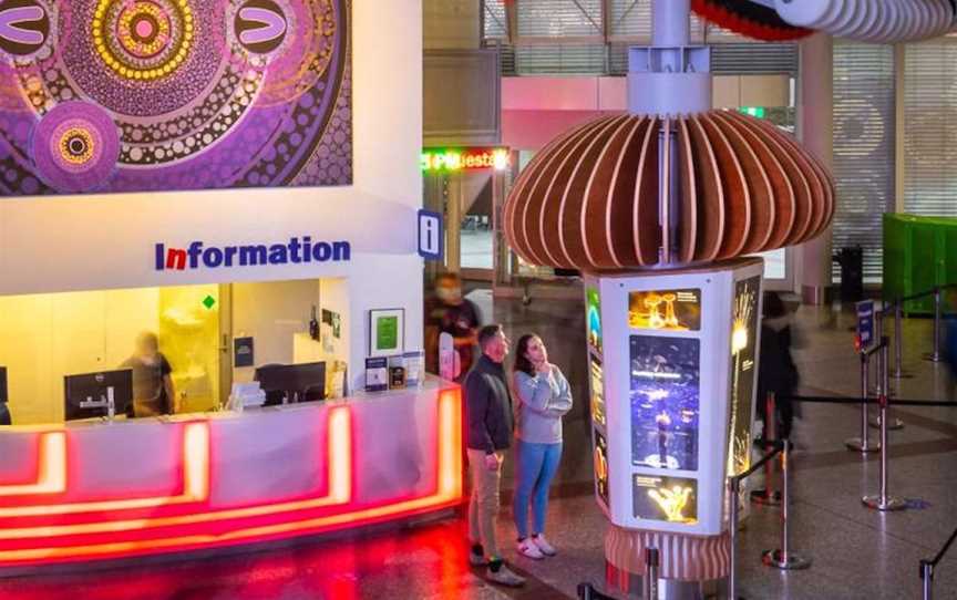 Questacon, Attractions in Canberra