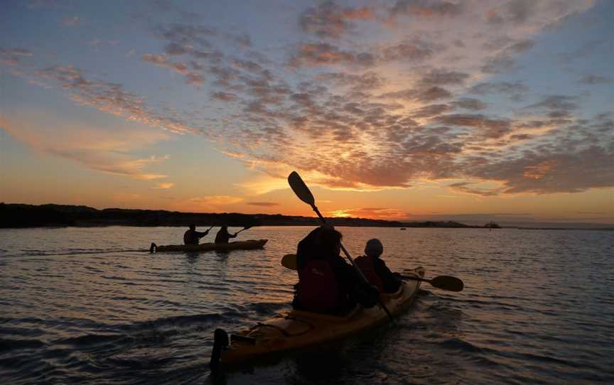Canoe the Coorong Sunset Tour, Hindmarsh Island, SA