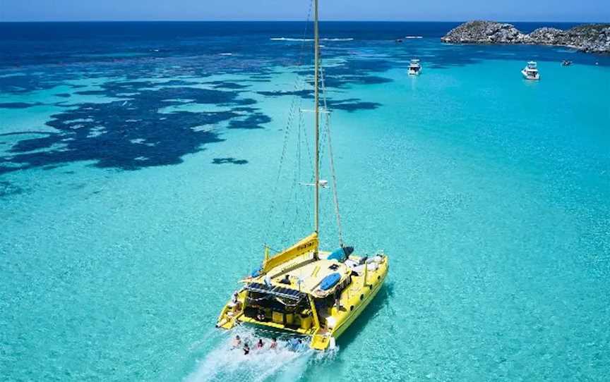 Charter 1 Snorkel & Sailing Tours, Tours in Rottnest Island
