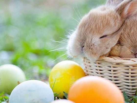 11 fun things to do in Perth this Easter