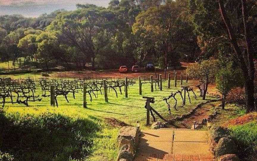 Avonbrook Wines - Accommodation, Accommodation in Clackline
