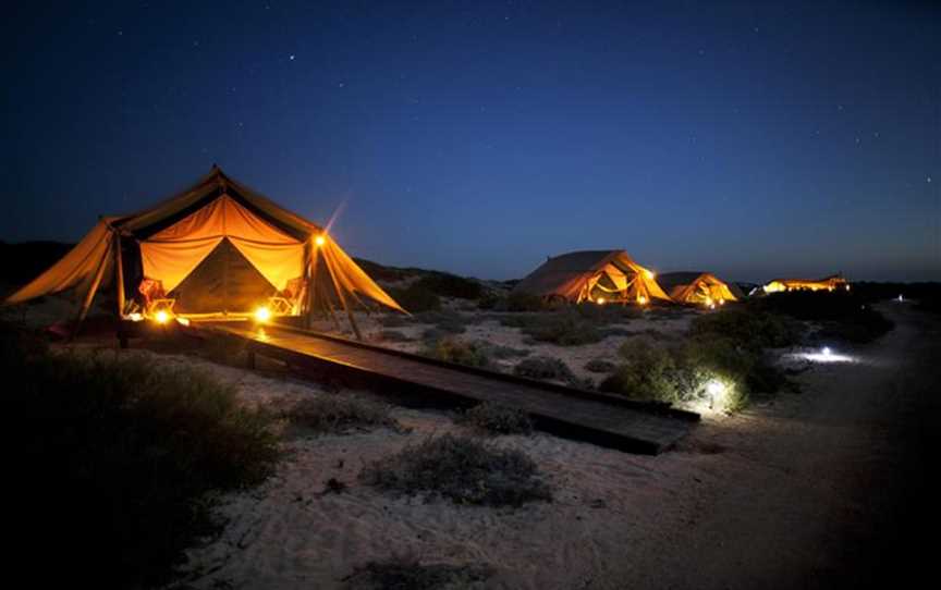 Tents at night