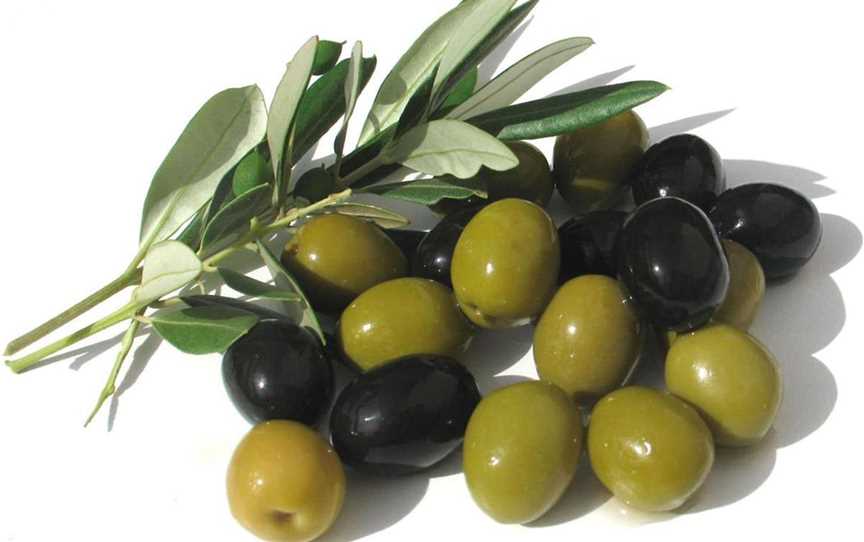 Dinninup Grove Olives, Attractions in Boyup Brook