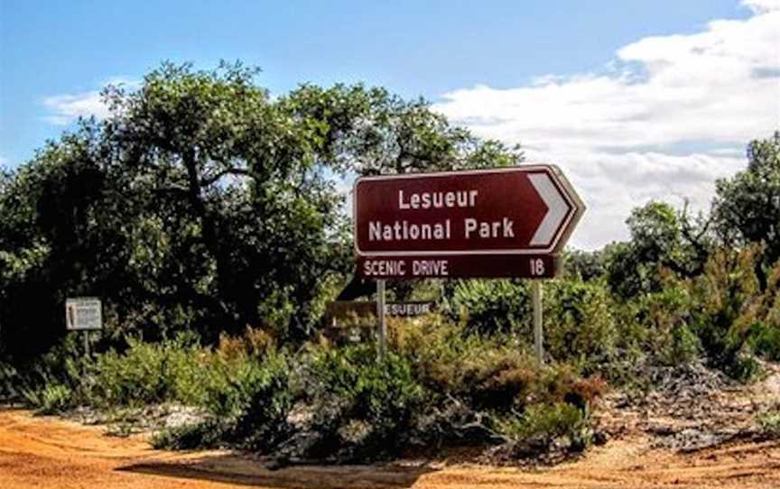 Lesueur National Park Scenic Drive, Attractions in Jurien Bay