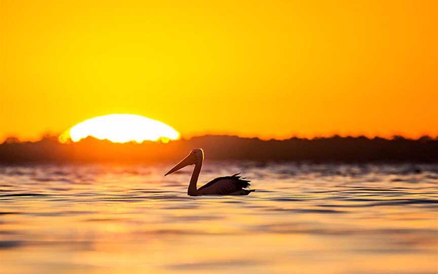Three Hour Sunset and Chill Cruise - Soul Mate Charters, Attractions in Mandurah