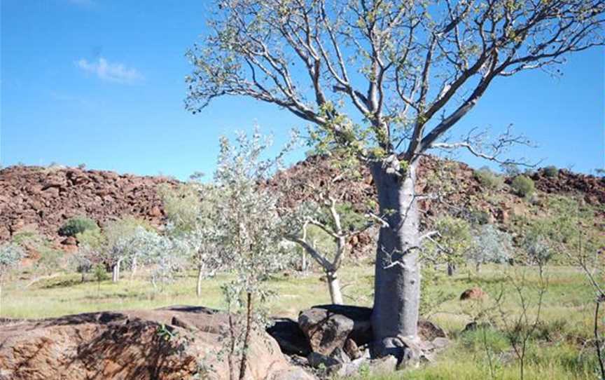 Cate Massola, Violet Valley, East Kimberley