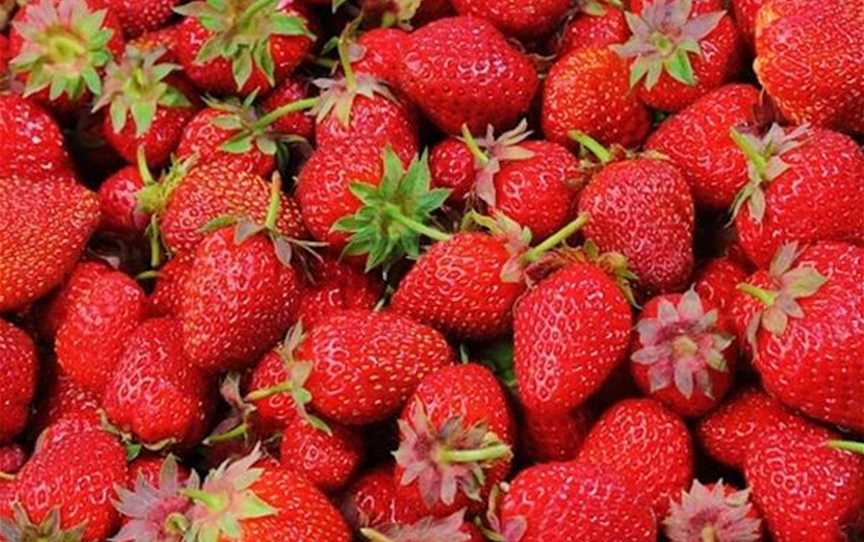 Aida Strawberry Farm, Food & Drink in Carabooda