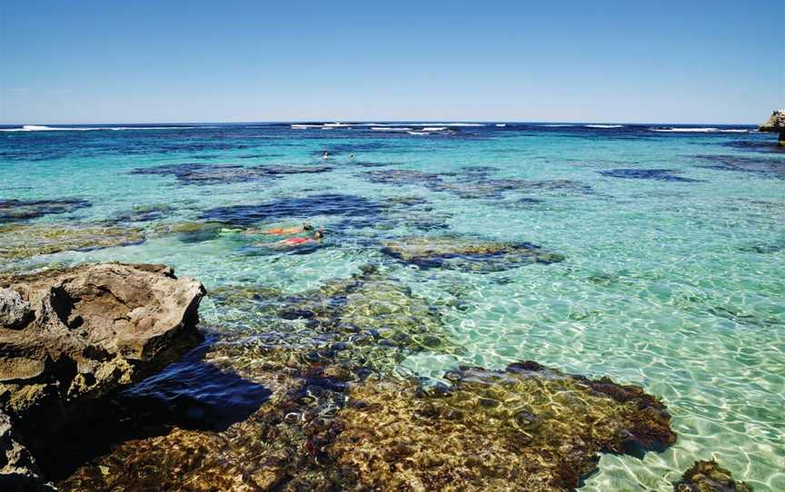 Little Armstrong Bay, Attractions in Rottnest Island