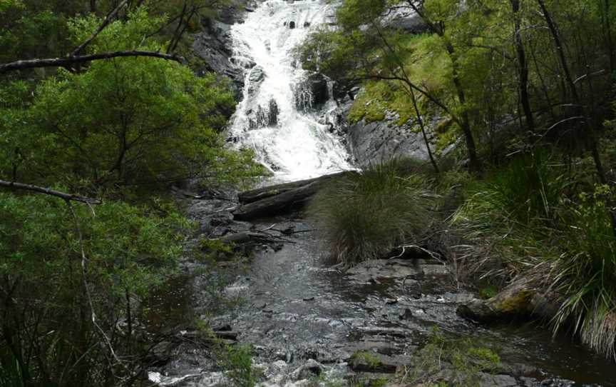 Greater Beedelup National Park
