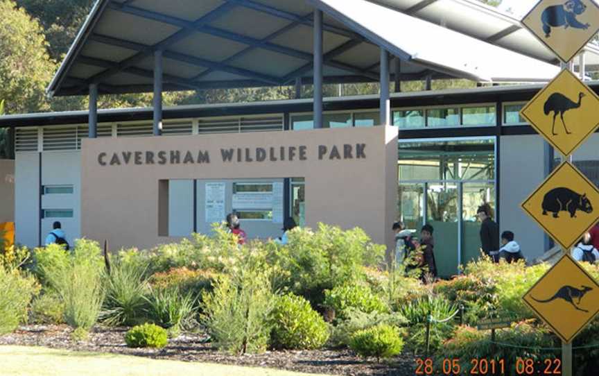 Caversham Wildlife Park, Attractions in Whiteman
