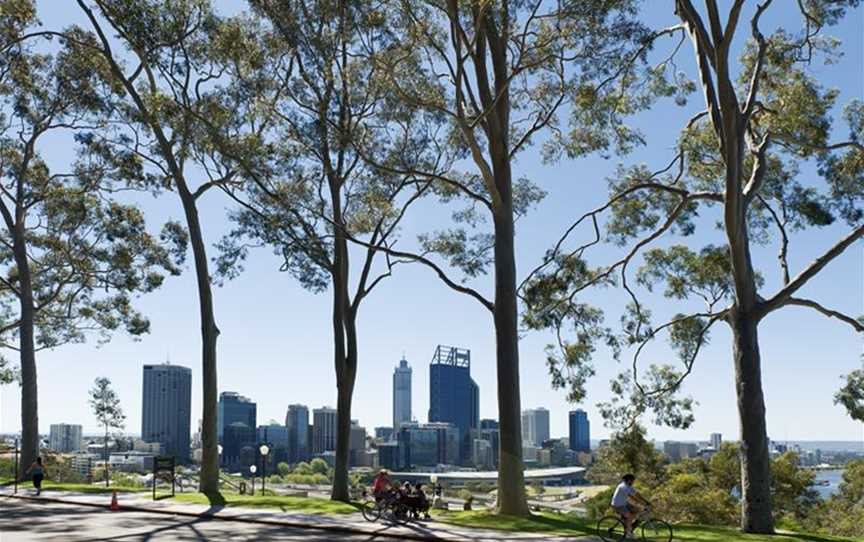 Enjoy the picturesque promenade of Fraser Avenue: the main entrance to Kings Park and Botanic Garden.