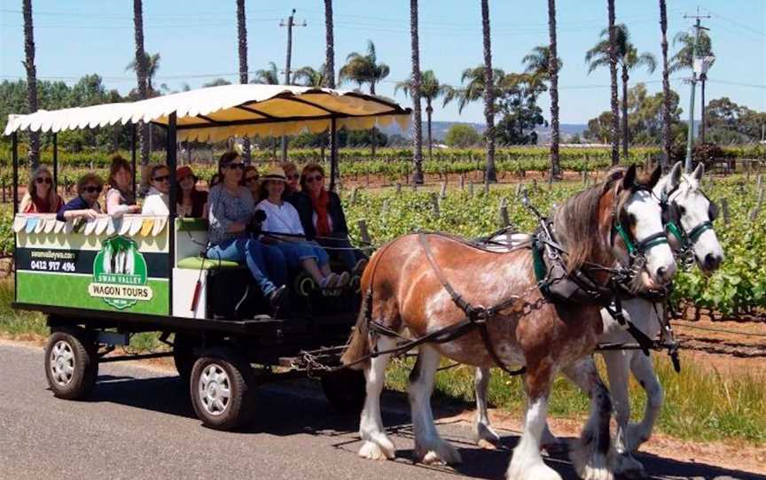 Swan Valley Wagon Tours, Tours in West Swan