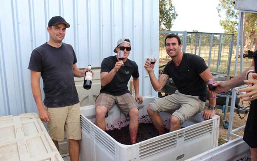 World champion surfer Joel Parkinson and crew stomping grapes on a private charter