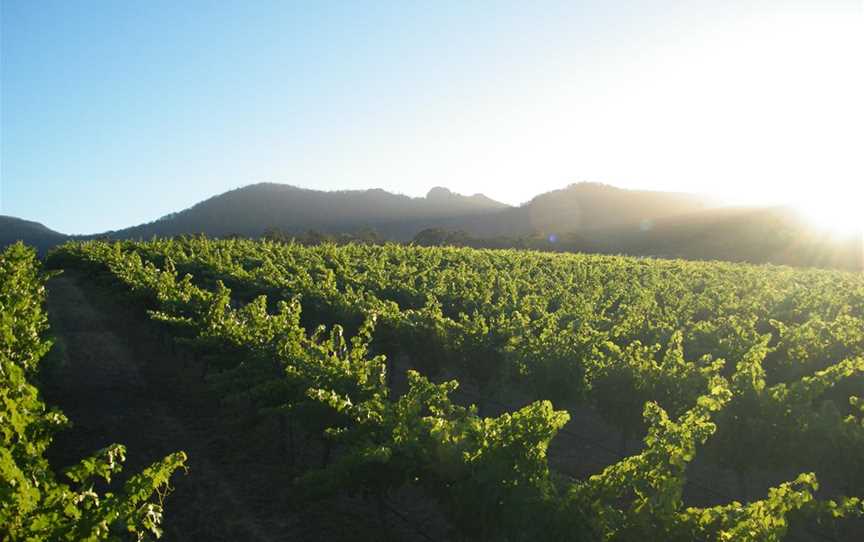 Ironwood Estate Wines, Wineries in Porongurup