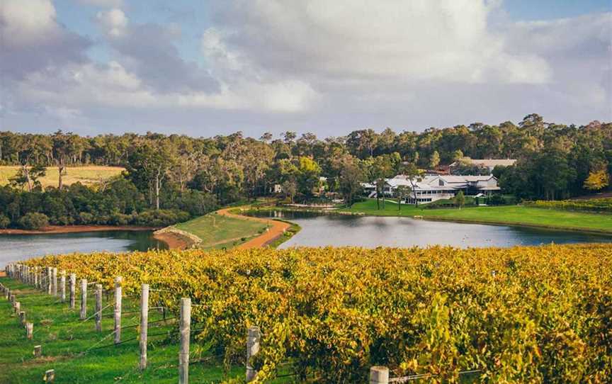 The beautiful, lush vines of the estate were planted back in the 1980s when the vineyard was first established