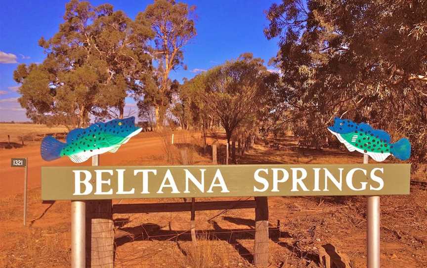 Beltana Springs, Wineries in Brookton