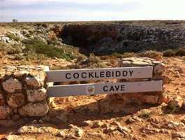 Cocklebiddy Cave 