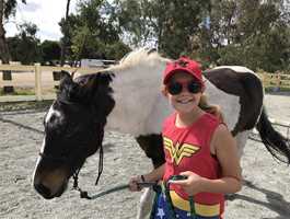 Equine Assisted Learning - Wanneroo