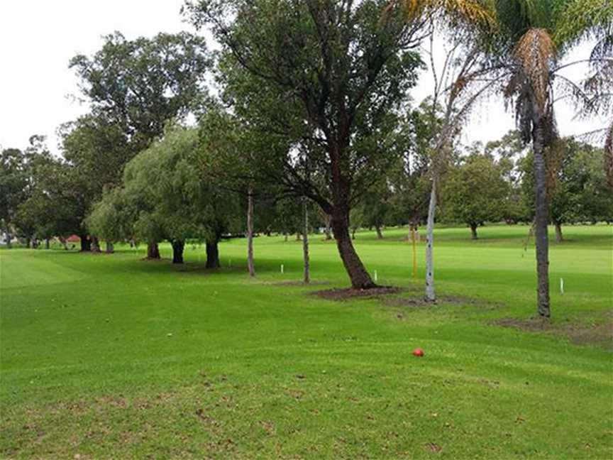 Bayswater Public Golf Course, Local Facilities in Embleton