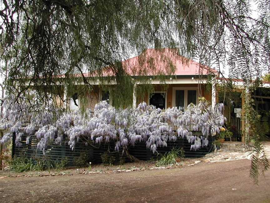 Tulip Cottage Home Stay, Accommodation in Boyup Brook