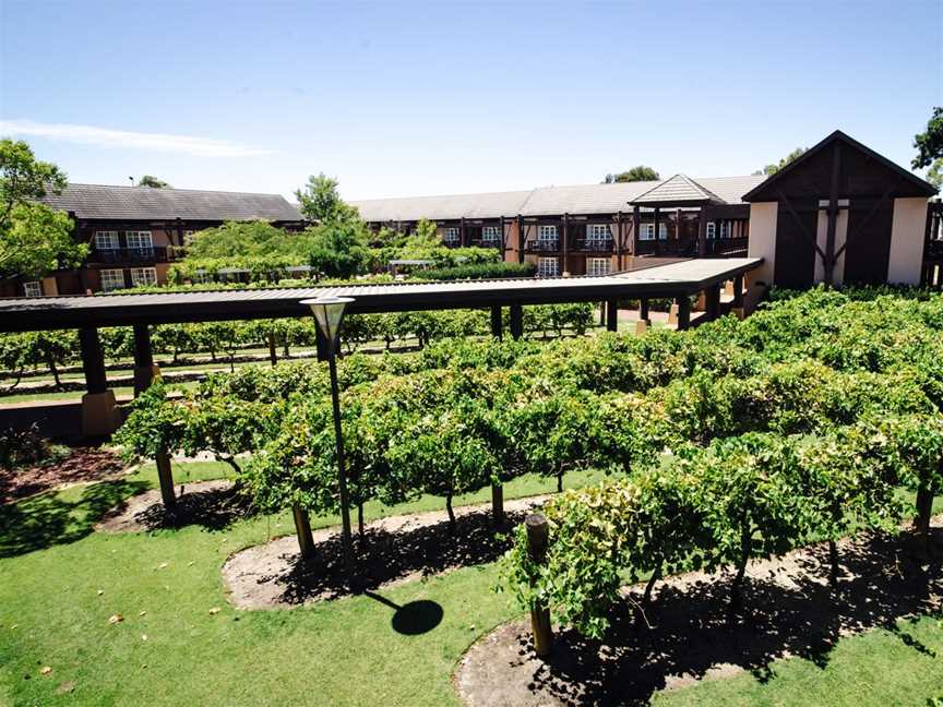The Vines Resort, Accommodation in The Vines