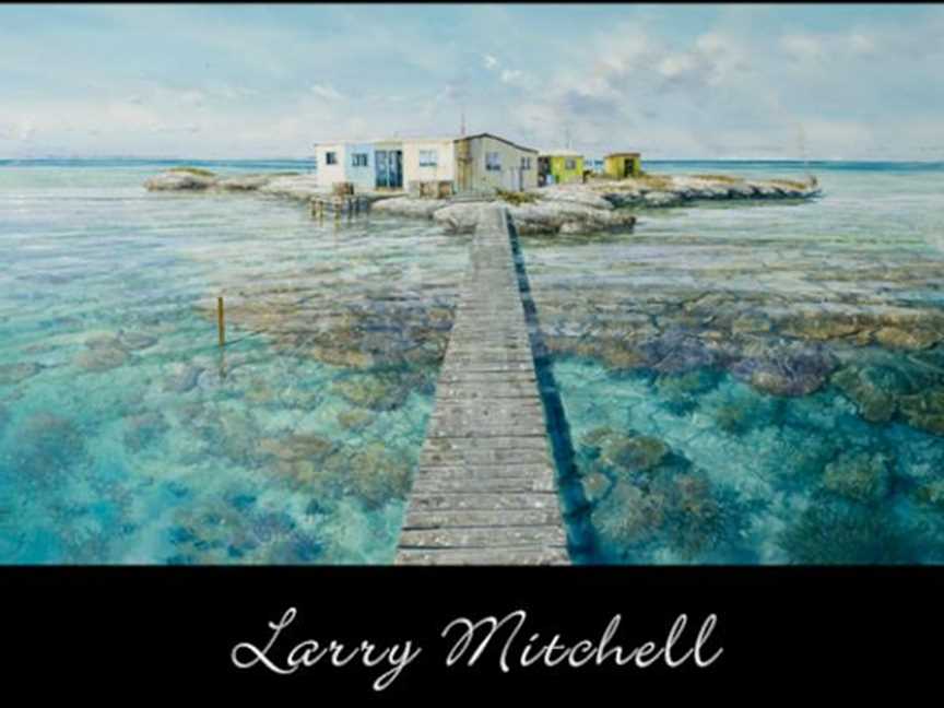 Larry Mitchell