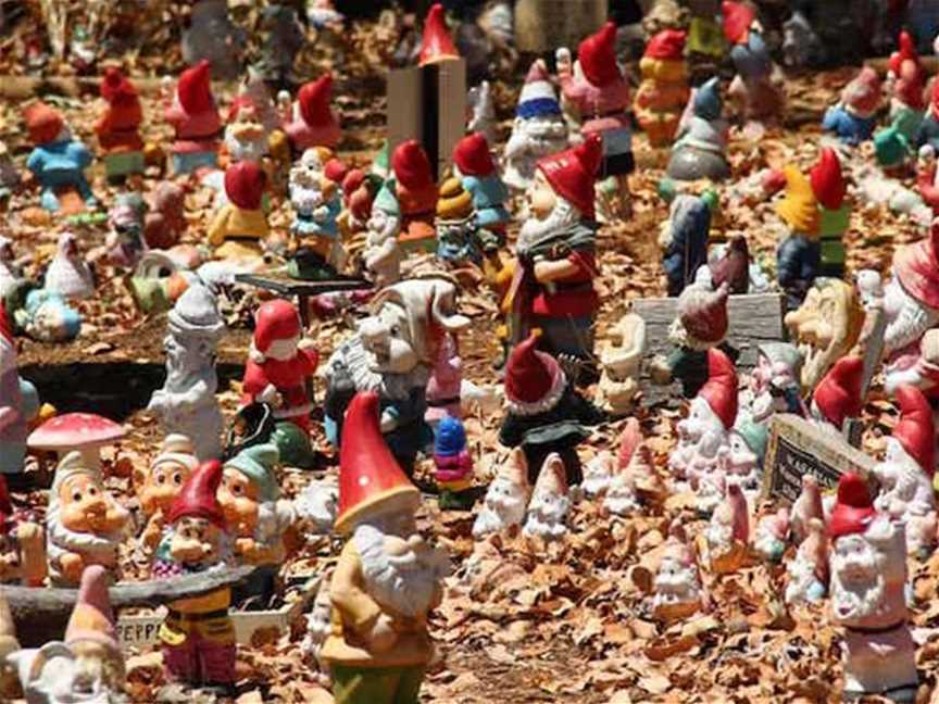 Lots of gnomes! - Gnomesville