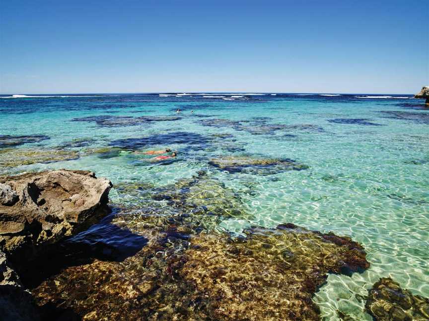 Little Armstrong Bay, Attractions in Rottnest Island