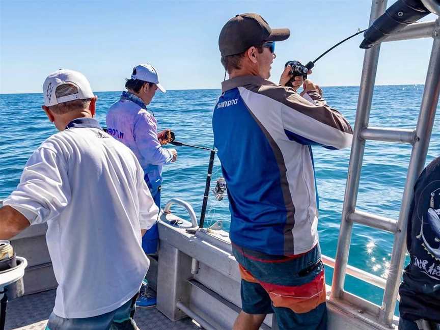 Seaestar Fishing Charters, Attractions in Jurien Bay
