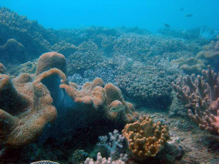 Dampier Archipelago Island Reserves