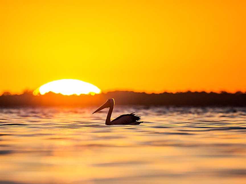 Three Hour Sunset and Chill Cruise - Soul Mate Charters, Attractions in Mandurah