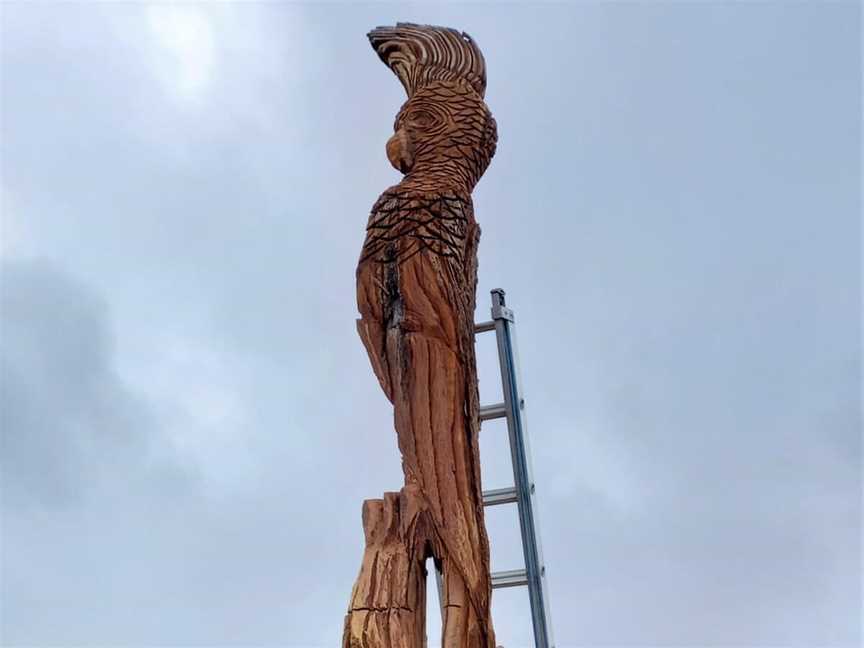 Darrel Radecliffe Chainsaw Sculpture Drive, Attractions in Albany