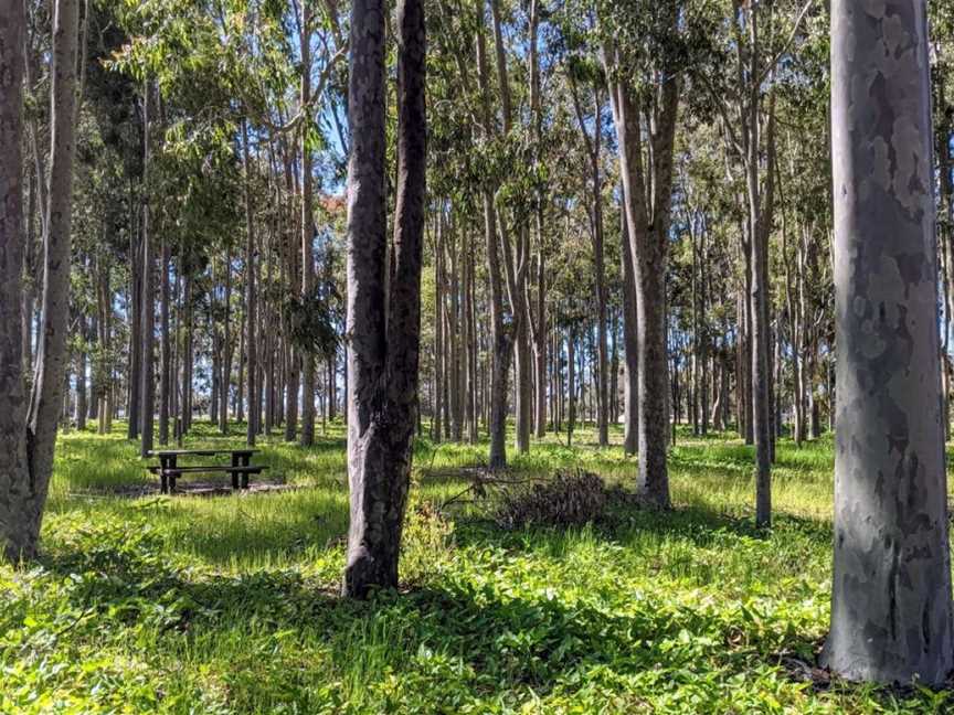 Tuart Forest National Park, Attractions in Ludlow