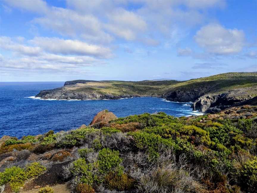 Torbay Head, Attractions in West Cape Howe