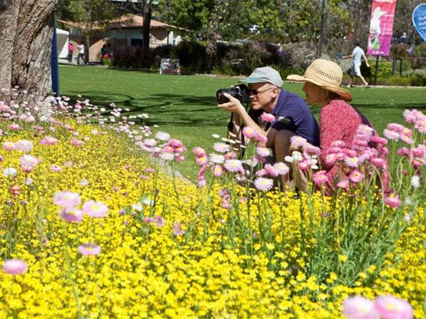Wander through the State Botanic Garden and capture the wildflowers in bloom.