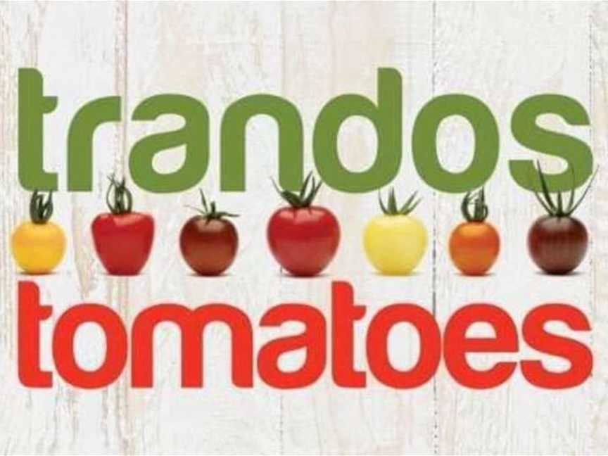 Trandos Tomatoes