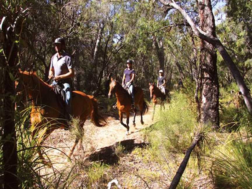 Mirravale Riding School, Tours in Yallingup