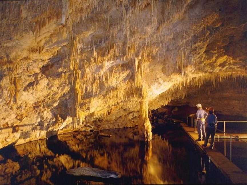 Calgardup Cave Tours, Tours in Boranup