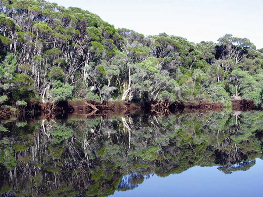 Donnelly River Cruises, Tours in Manjimup