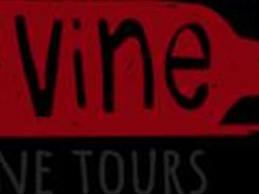 D Vine Wine Tours Logo