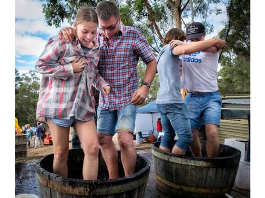 Porongurup Wine Festival - Taste Great Southern, Events in Porongurup