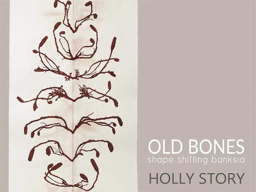 Old Bones | Holly Story