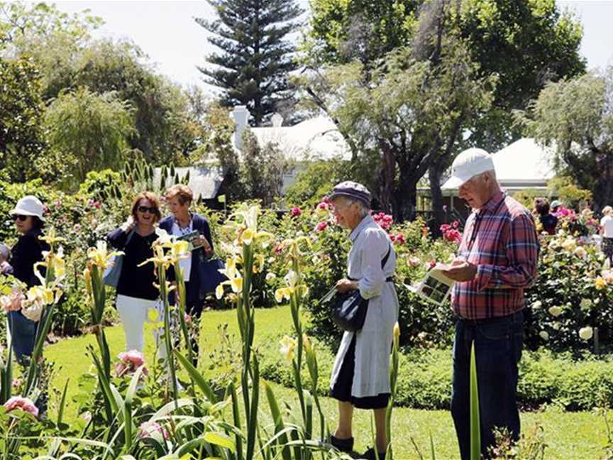 PLC Open Garden Day 2019, Events in Peppermint Grove