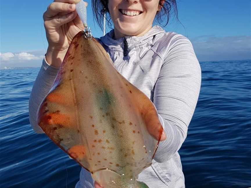 Squid caught off the Busselton Jetty