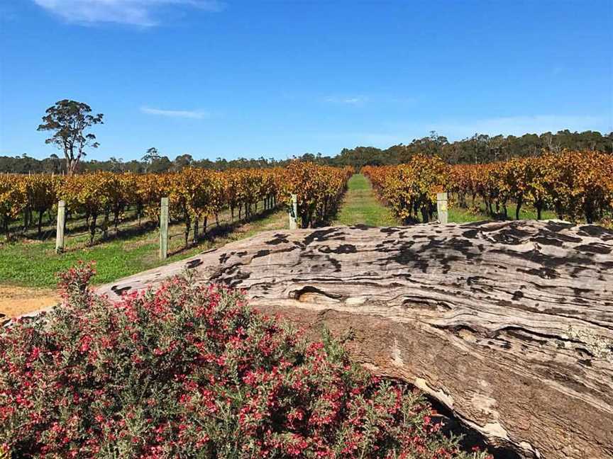 Whicher Ridge Wines, Wineries in Chapman Hill