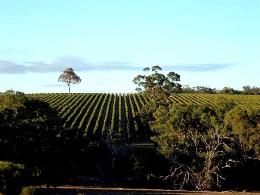 Xabregas Wines, Wineries in Mount Barker