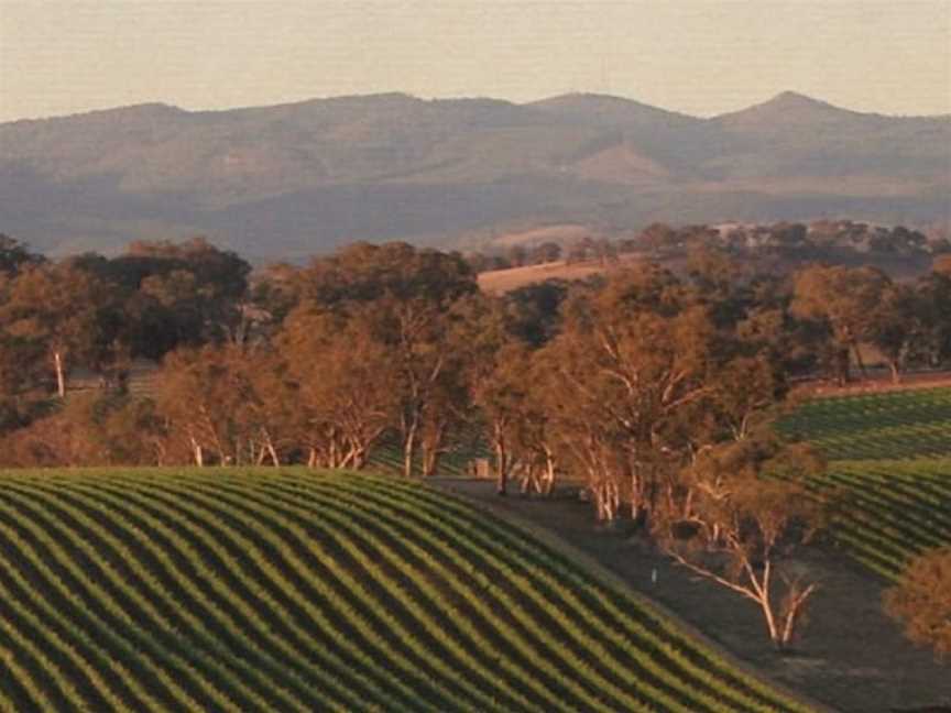 Angullong Wines, Wineries in Millthorpe