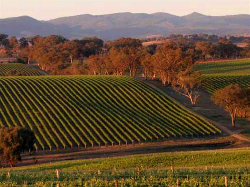 First Creek Wines, Pokolbin, New South Wales