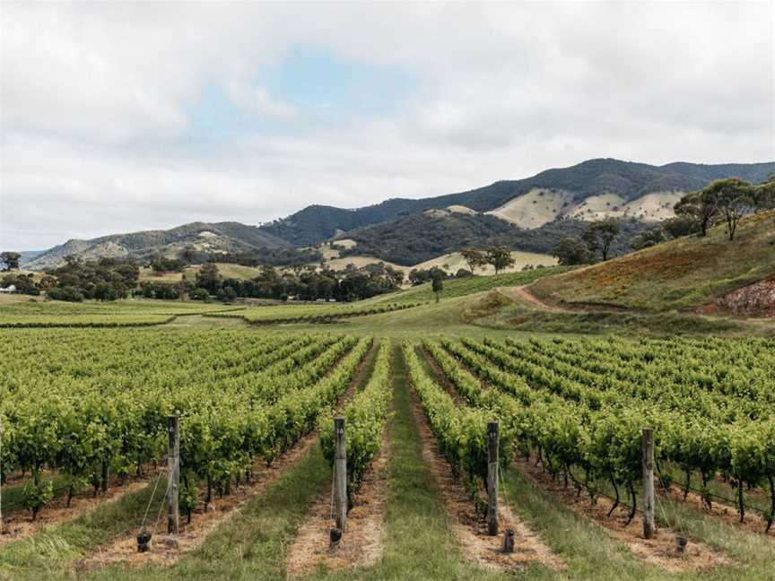 Gilbert Family Wines, Mudgee, New South Wales