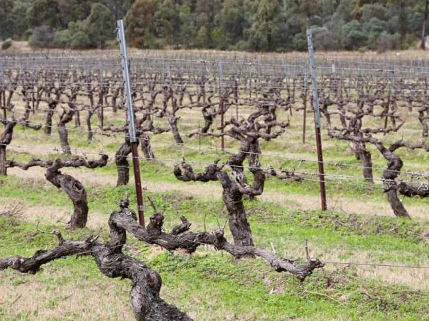 Keith Tulloch Wine, Pokolbin, New South Wales